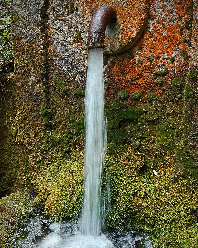 Vermooster Brunnen mit Rohr, aus dem frisches Quellwasser in ein vermoostes Becken fließt. Unser Gründer Dr. Hartmann fand für Eberbach eine Heilquelle.