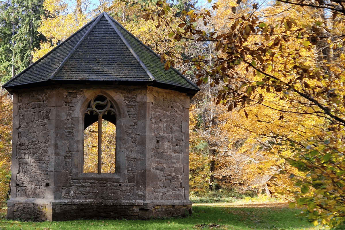 Exkursion zum Kirchel bei Schwanheim_Rutengänger Exkursion für Geobiologische BeraterInnen