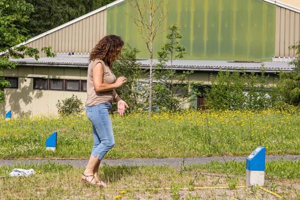 Seminare in Geobiologie und Gesundheit für gesunde Standorte besuchen
