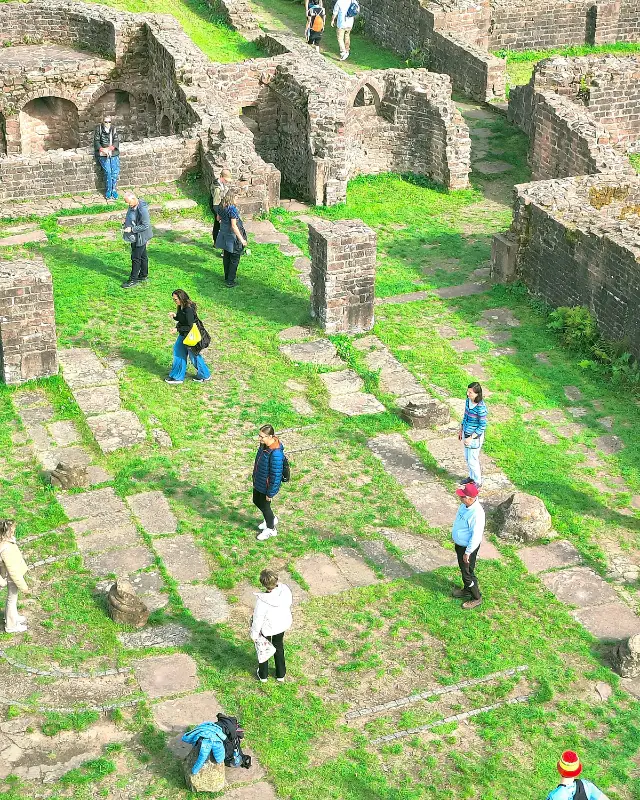 GEA Italia und Forschungskrei für Geobiologie zu Besuch in Heildeberg_Geomantie am Heiligenberg in Heidelberg